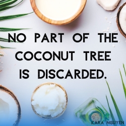 WHO KNEW THAT THE COCONUT TREE COULD HELP PEOPLE GET RICH LIKE THAT?